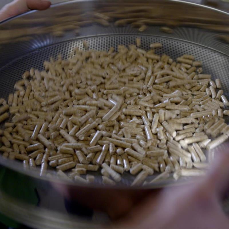 Pellets from the largest production site in Europe